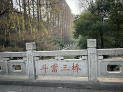 -赵宝美煎包店