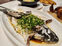 -东方御宴海鲜酒楼(棕泉酒店)