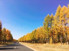 -塞罕坝国家级自然保护区