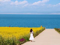 -青海湖国家重点风景名胜区