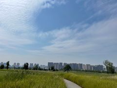 -汉长安城未央宫国家考古遗址公园