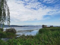 -才村湿地公园