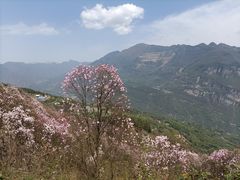 -九皇山景区