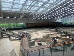-金沙遗址博物馆