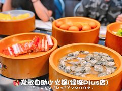 -龍歌自助小火锅(李沧丽达店)