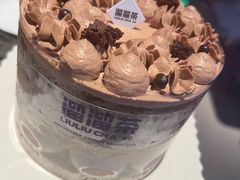 -TD66高山铁皮石斛养生茶饮