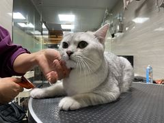 -宠颐生斯嘉宠物医院·急重症·心内科(谷阳北路分院)