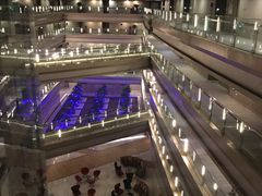 -南京禄口机场雅高铂尔曼大酒店