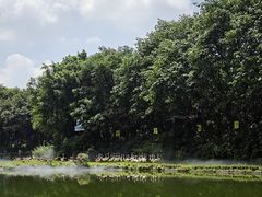 -广州长隆飞鸟乐园
