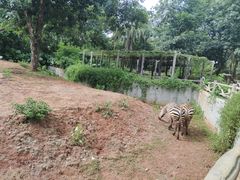 -海南热带野生动植物园