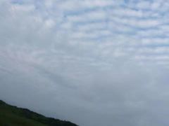 -大姆山草场