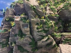 -房山世界地质公园博物馆