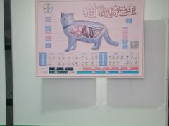 -半岛宠物医院24小时(科华中路店)