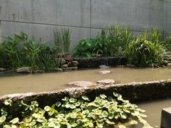 -中国湿地博物馆