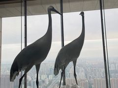 -北京柏悦酒店·锦庭餐厅Dining Room