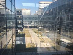 -首都医科大学附属北京天坛医院