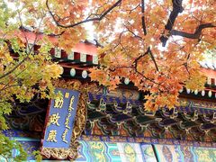 -国家植物园(地铁站)