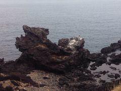 -龙头岩(Dragon Head Rock)