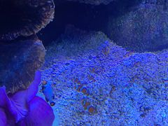 -沈阳海洋探索中心