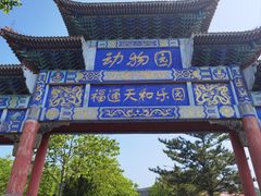 -西霞口神雕山野生动物世界