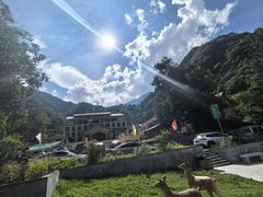 -陕西省红河谷森林公园