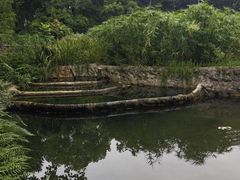 -成都市活水公园