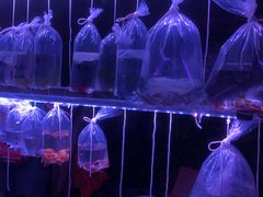 -华声天桥民俗文化园