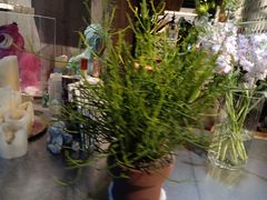 -漾花汐·西餐·下午茶(苏州湾歌林公园店)