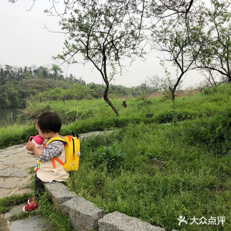 杭州周边亲子游|2岁以下带娃攻略