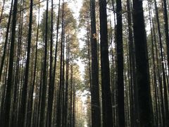 -山王坪喀斯特国家生态公园