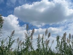 -沙家浜风景区