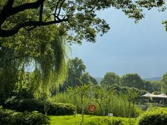 -橘洲1910花园江景西餐厅