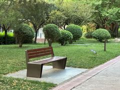 -唐城墙遗址公园