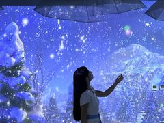 -海合安成都极地海洋公园