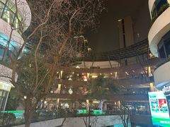 -瑞虹新天地月亮湾