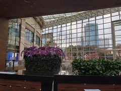 -上海外滩茂悦大酒店