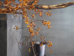 -曲廊院(东四十一条店)