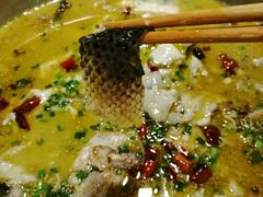 -川渔居—鱼火锅(八方汇店)