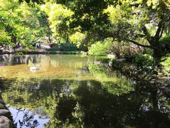 -成都市活水公园