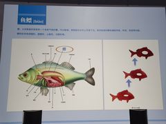 -大连自然博物馆
