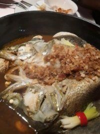 -芙蓉堂(武汉天地店)