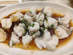 清蒸石斑鱼-外沙疍家棚酒楼