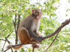 -黔灵山公园-南门售票处