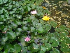 -镇江市南山风景名胜区竹林景区