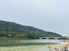 -长广溪湿地公园