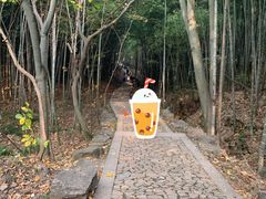 -穹窿山景区