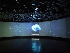 -同济大学四平路校区深海探索馆