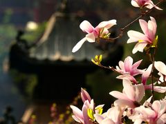 -潭柘寺景区