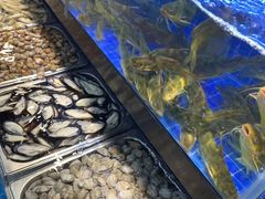 水产区-苏格里岛自助海鲜火锅烧烤(大汉悦中心店)