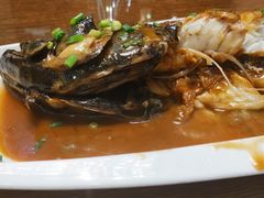 红烧石斑鱼-郑庄脂渣海鲜楼(九水路店)